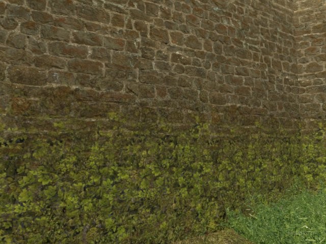 fy_gg_funtimes_lsf thumb 4