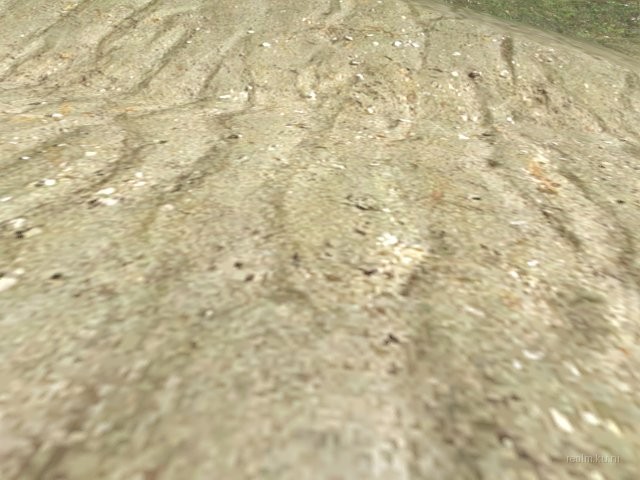 fy_hcn_ancestor thumb 21