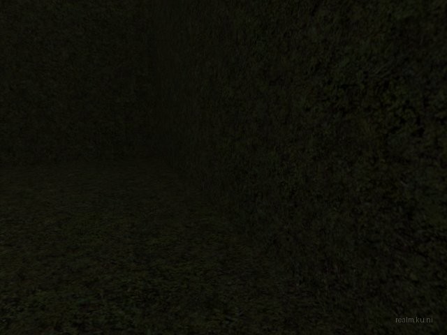 fy_headshot_v2 thumb 13