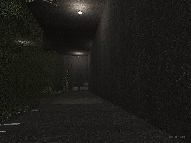 fy_hedge_maze thumb 36