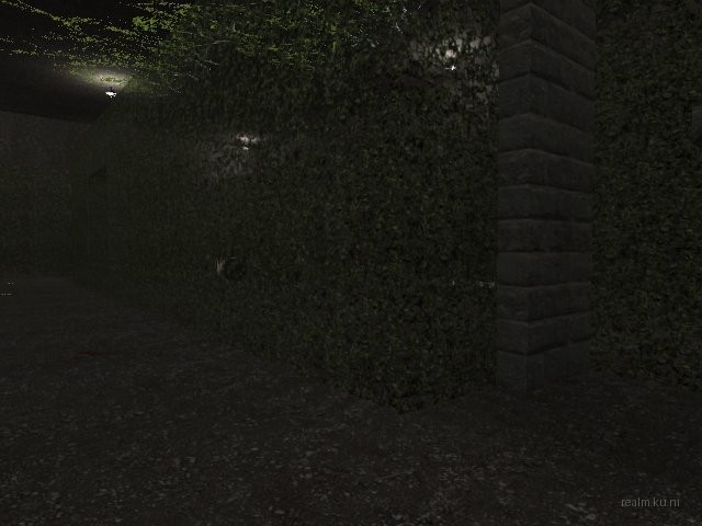 fy_hedge_maze thumb 76