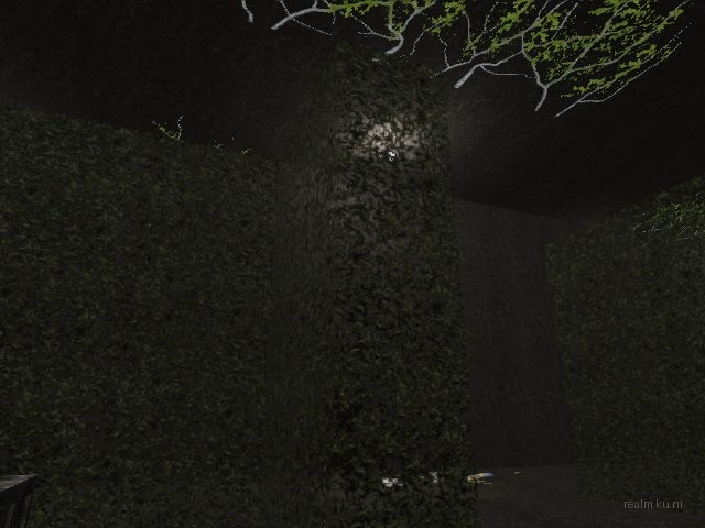 fy_hedge_maze thumb 64