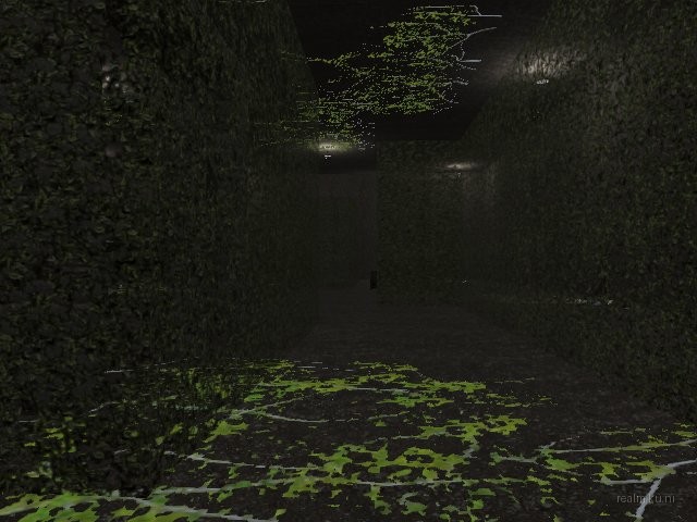 fy_hedge_maze thumb 59