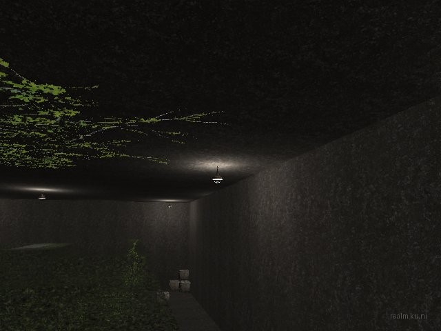 fy_hedge_maze thumb 31