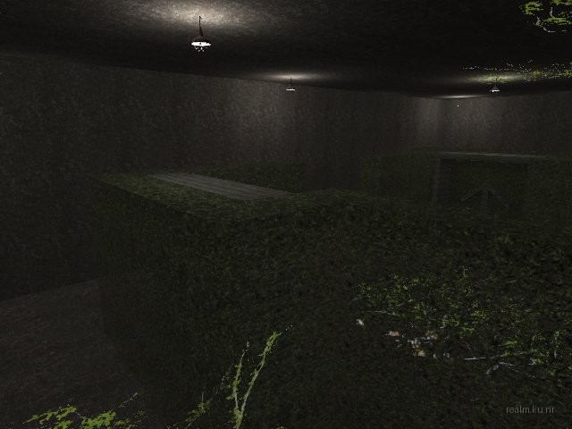 fy_hedge_maze thumb 14