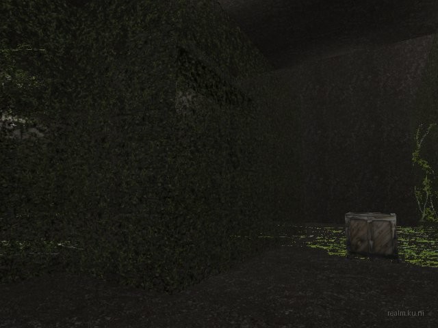 fy_hedge_maze thumb 39