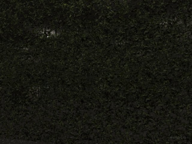 fy_hedge_maze thumb 27