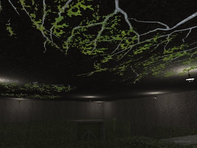 fy_hedge_maze thumb 20
