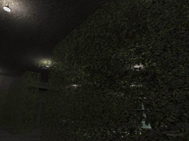 fy_hedge_maze thumb 81