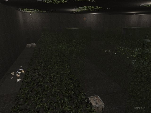 fy_hedge_maze thumb 82