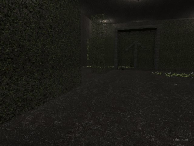fy_hedge_maze thumb 67