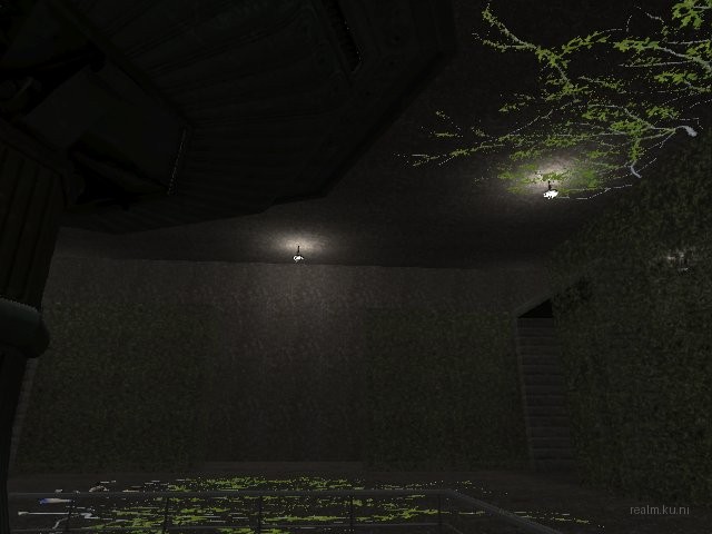 fy_hedge_maze thumb 71