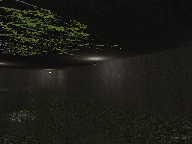 fy_hedge_maze thumb 15