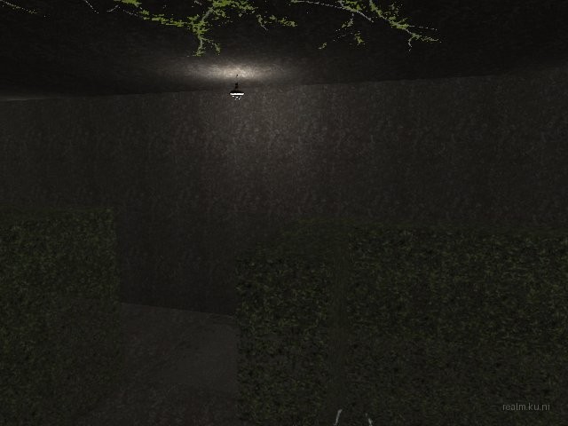 fy_hedge_maze thumb 35