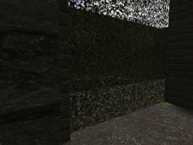 fy_hedge_maze thumb 29