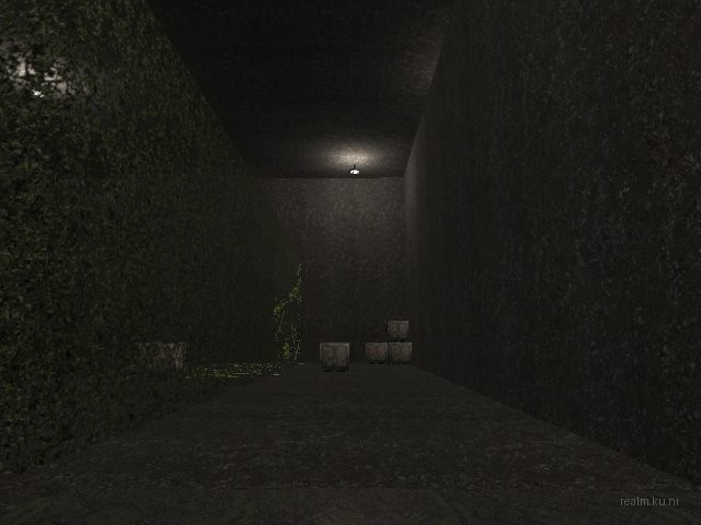 fy_hedge_maze thumb 21