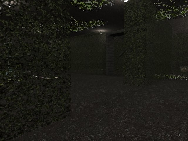 fy_hedge_maze thumb 13