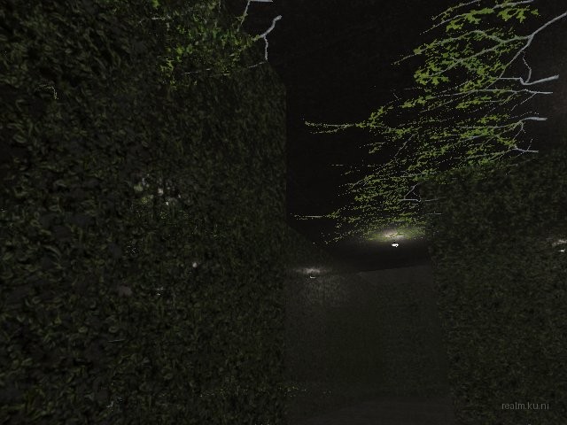 fy_hedge_maze thumb 66
