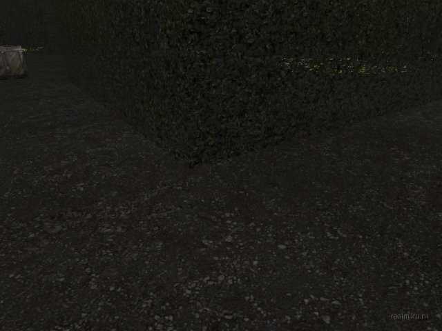 fy_hedge_maze thumb 9