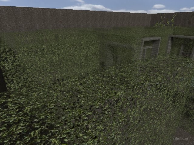 fy_hedge_maze thumb 34
