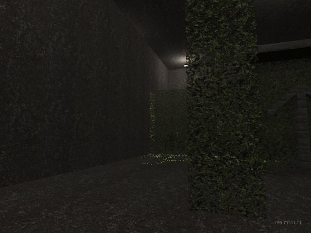 fy_hedge_maze thumb 44
