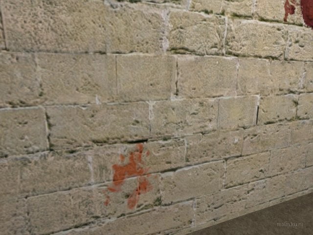 fy_holden_v5 thumb 4