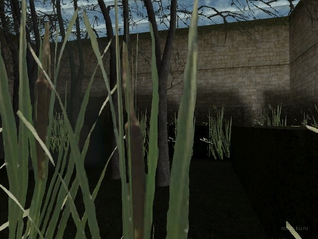 fy_inthewoods thumb 17
