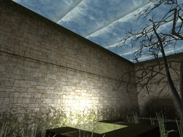 fy_inthewoods thumb 15