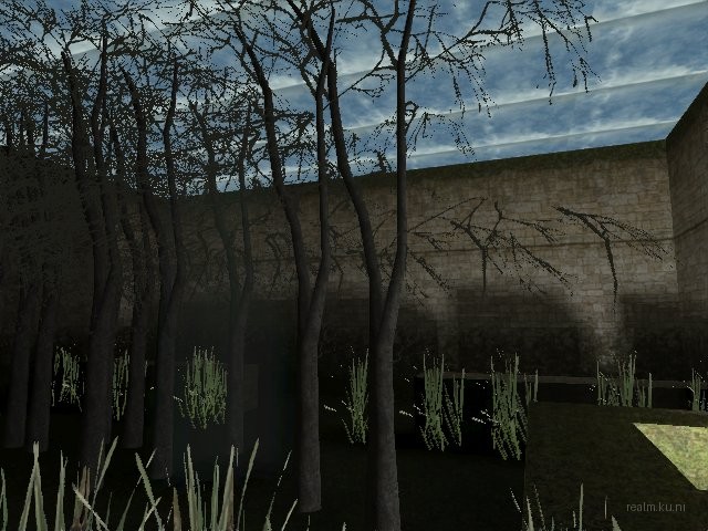 fy_inthewoods thumb 2