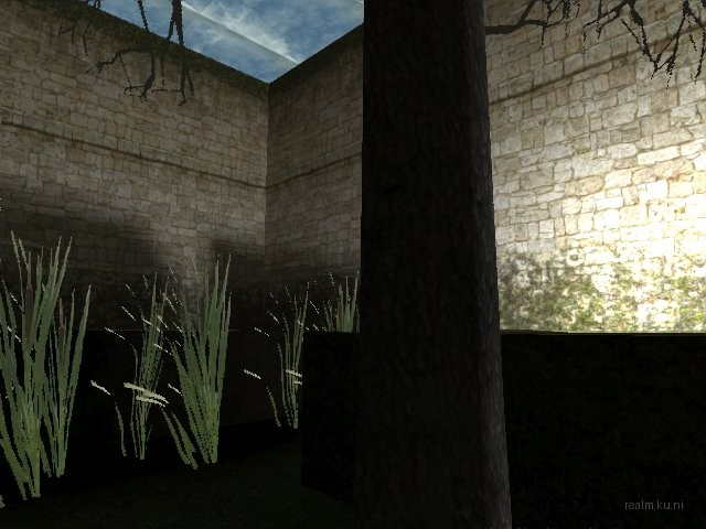 fy_inthewoods thumb 12