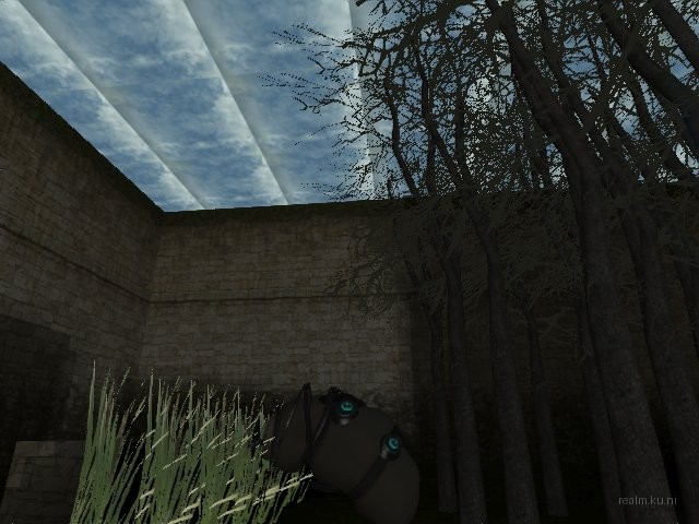fy_inthewoods thumb 8