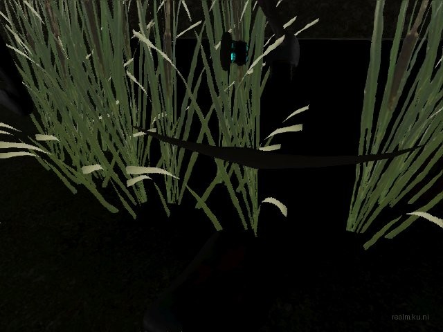 fy_inthewoods thumb 14
