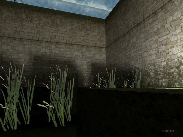 fy_inthewoods thumb 5