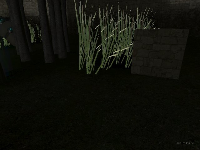 fy_inthewoods thumb 16