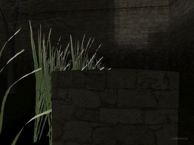 fy_inthewoods thumb 18