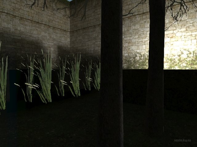fy_inthewoods thumb 9
