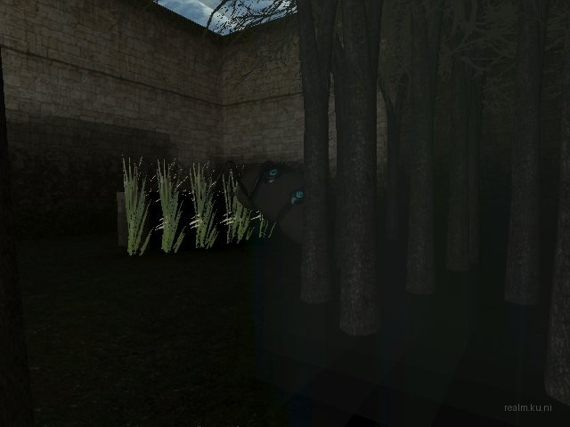 fy_inthewoods thumb 10