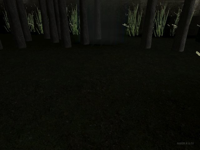fy_inthewoods thumb 11