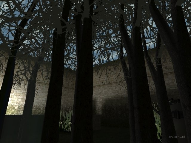 fy_inthewoods thumb 20