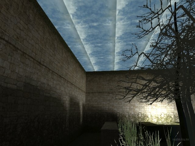 fy_inthewoods thumb 7