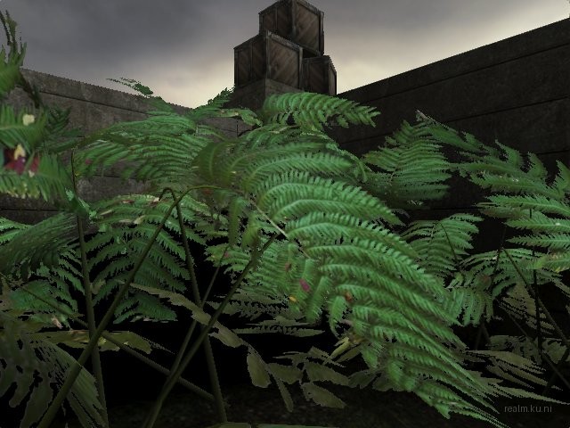 fy_kill_x thumb 6