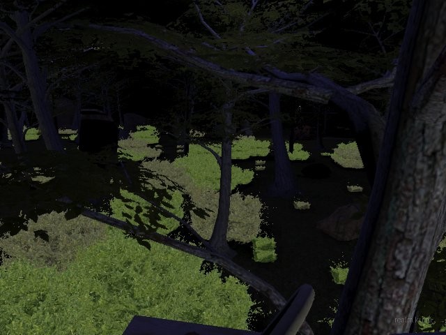 fy_king_forest thumb 15