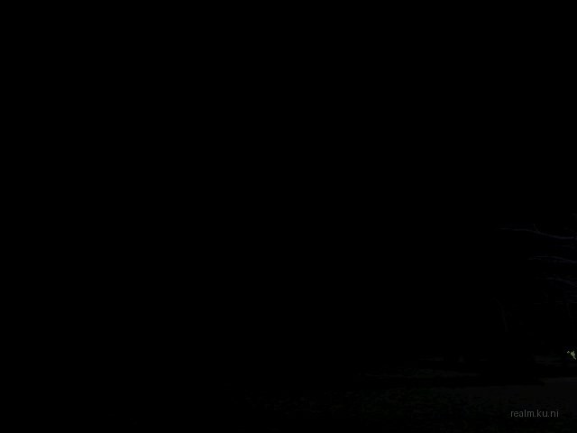 fy_king_forest thumb 3