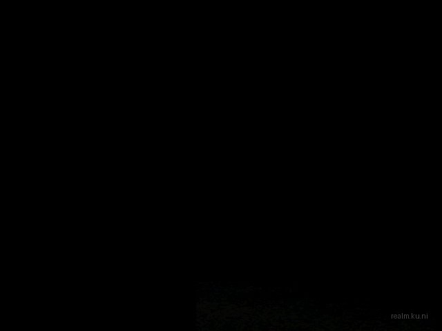 fy_king_forest thumb 21