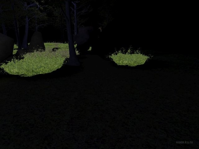 fy_king_forest thumb 8