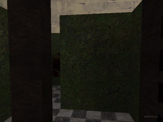 fy_maze_2007 thumb 6