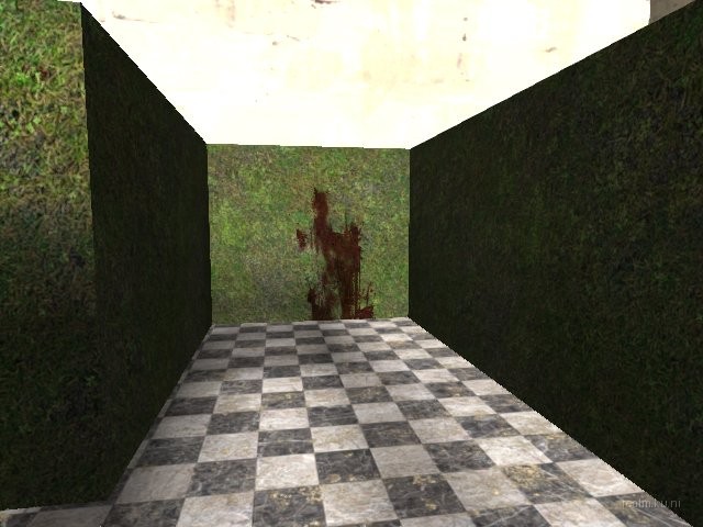 fy_maze_2007 thumb 15