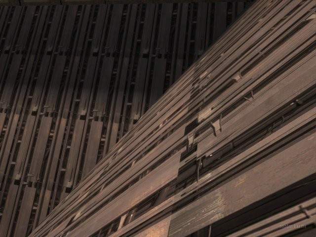 fy_melontree thumb 9