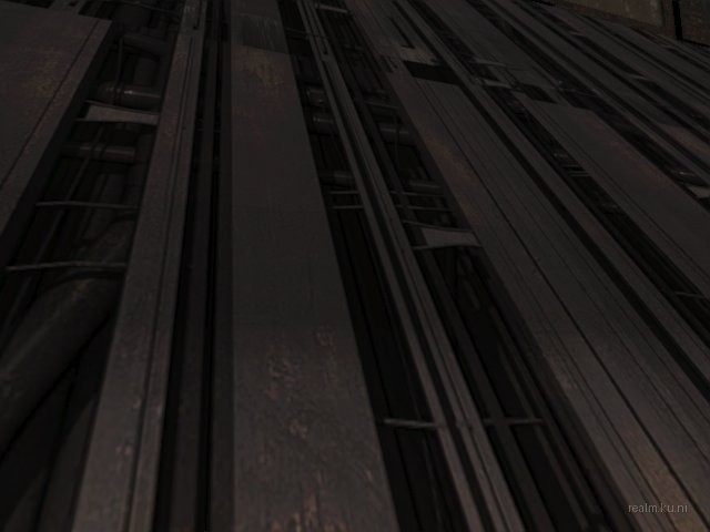 fy_melontree thumb 3