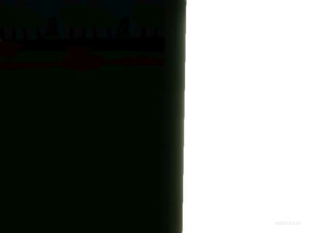 fy_mushroom thumb 19